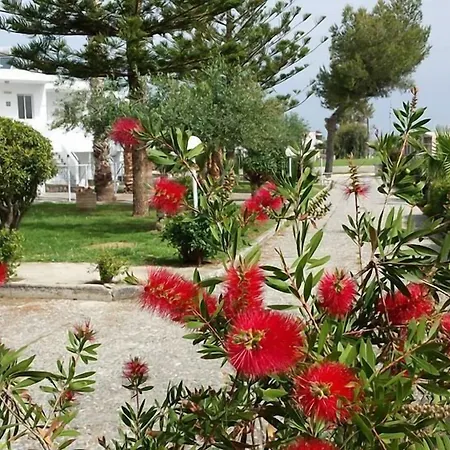 Hotel Blue Nest