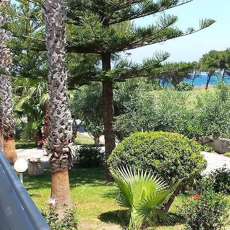Hotel Blue Nest