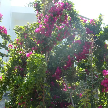 Blue Nest Hotel Tigaki