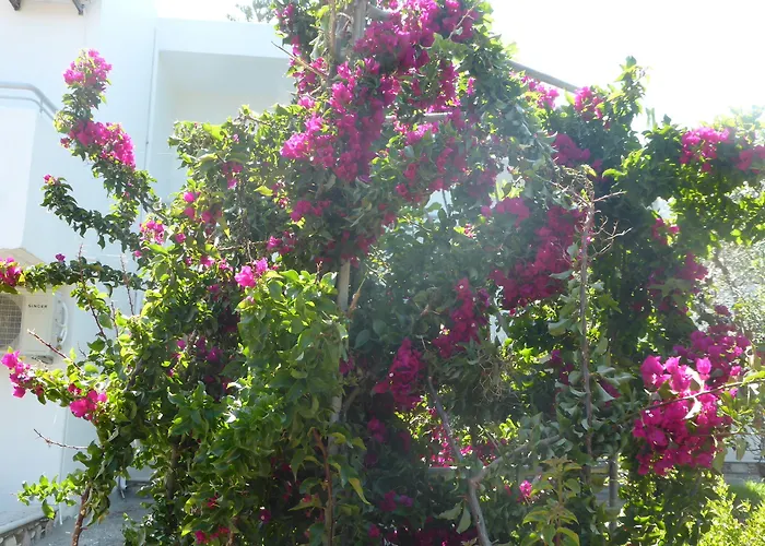 Blue Nest Hotel Tigaki