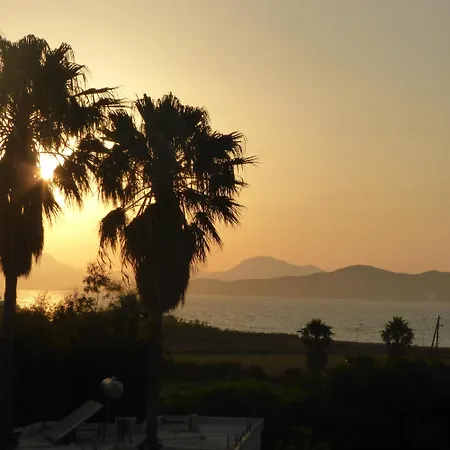 Blue Nest Тигаки